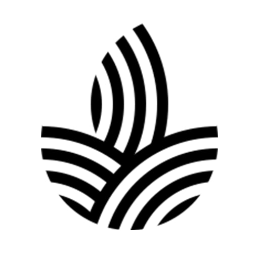 David's Homemade Food